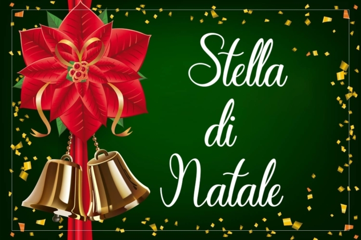 Stella-di-Natale-a-Genova